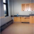 Lab